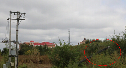 呼蘭電傷白叟電纜仍“躺”原地 電纜仍“躺”原地