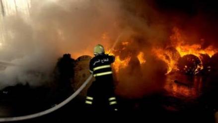 ���(z��i)�Ɖ���Ӌ��C��|���S